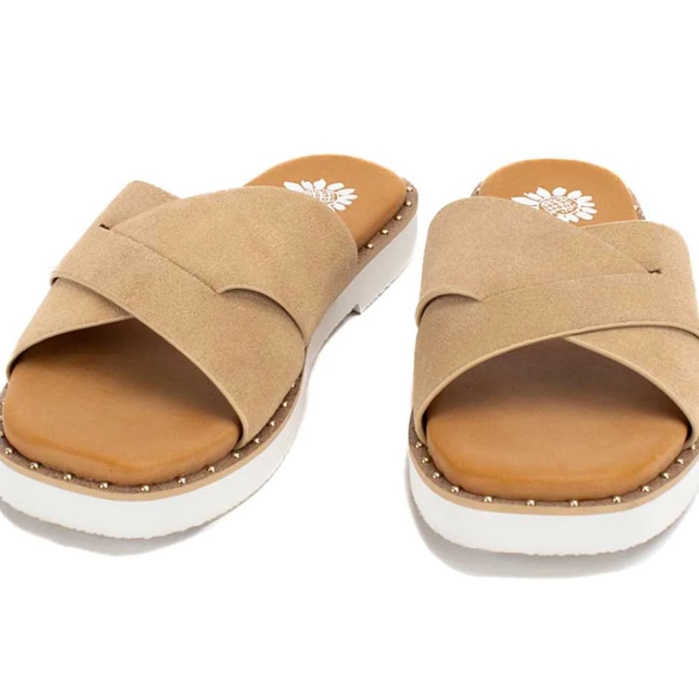 HEMES SLIDE